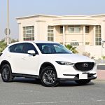 Petrol, Hybrid or EV? How to Choose the Right Car in the UAE in 2026